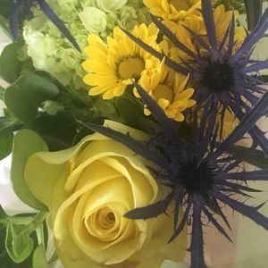 Meet your Posher, Eileen